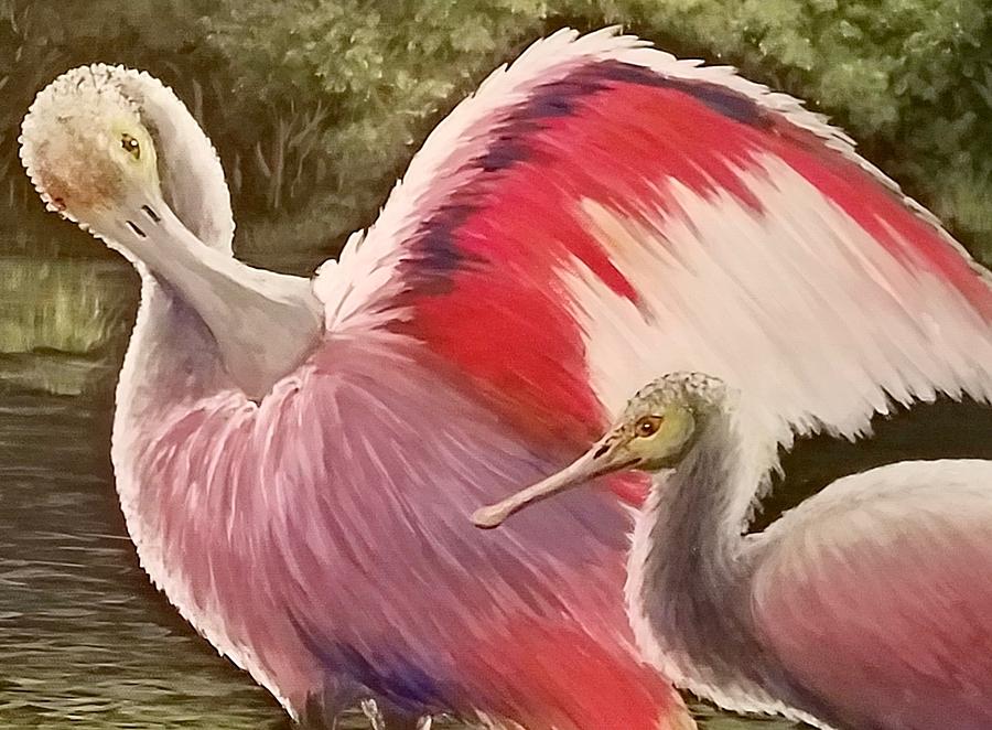 Spoonbills Painting - Spoonbills by Dara Dodson Spoonbills Painting - Spoonbills by Dara Dodson
