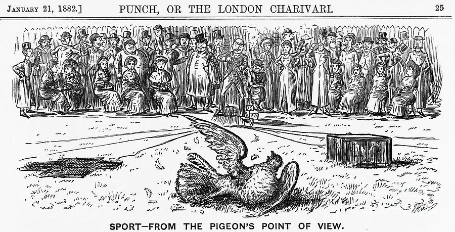 Sport From The Pigeons Point Of View Drawing by Print Collector