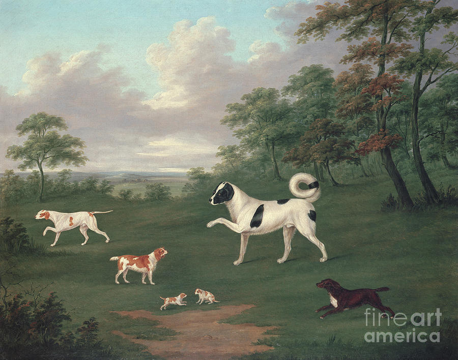 Sporting Dogs In A Landscape Painting by J Francis Sartorius