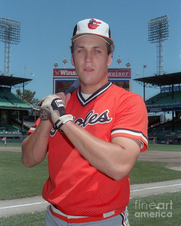 Sports Contributor Archive 2019 Photograph by Ron Vesely Sports Contributor Archive 2019 Photograph by Ron Vesely