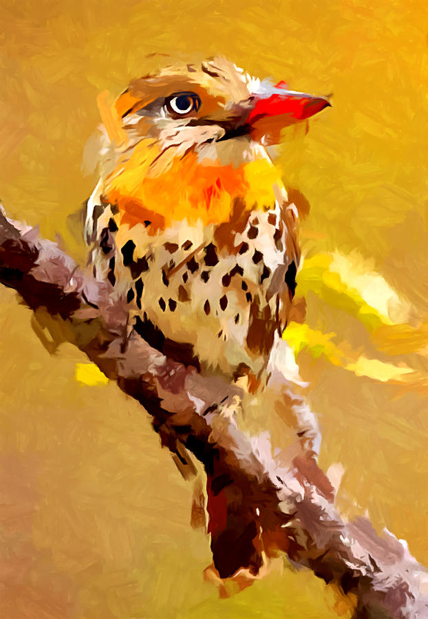 Spot-backed Puffbird Painting by Chris Butler