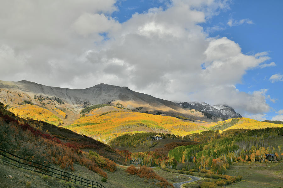 Spotlight on Fall Colors above Telluride Photograph by Ray Mathis