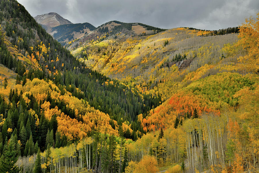 Spotlight on Fall Colors Along Highway 145 Photograph by Ray Mathis