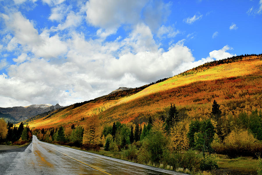Spotlight on Fall Colors along Million Dollar Highway Photograph by Ray Mathis