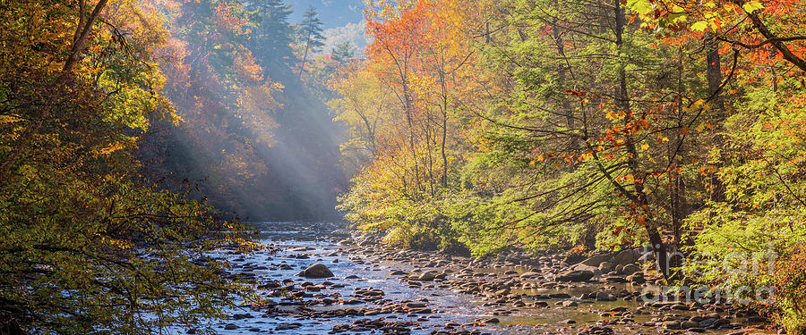 SPOTLIGHT ON METCALF BOTTOMS by Doug Sturgess SPOTLIGHT ON METCALF BOTTOMS by Doug Sturgess