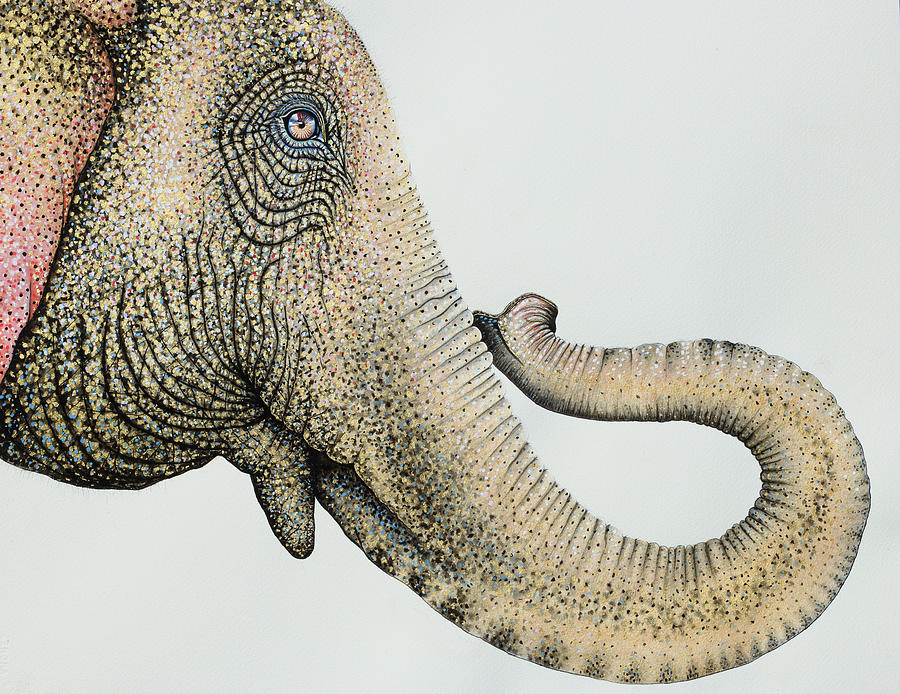 Animal Painting - Spotted Asian Elephant 2 by Michelle Faber