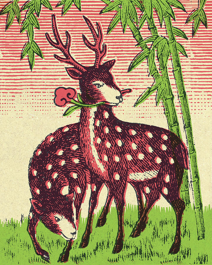 Christmas Drawing - Spotted Deer by CSA Images