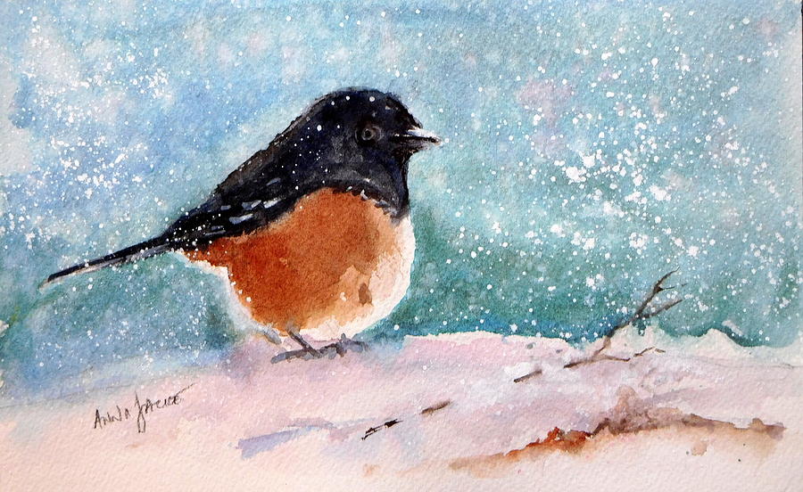 Spotted Towhee - All Puffed Up Painting by Anna Jacke