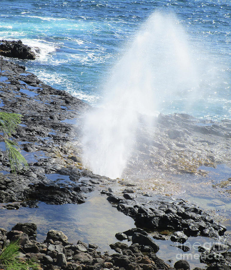 Spouting Horn Photograph by Randall Weidner | Fine Art America