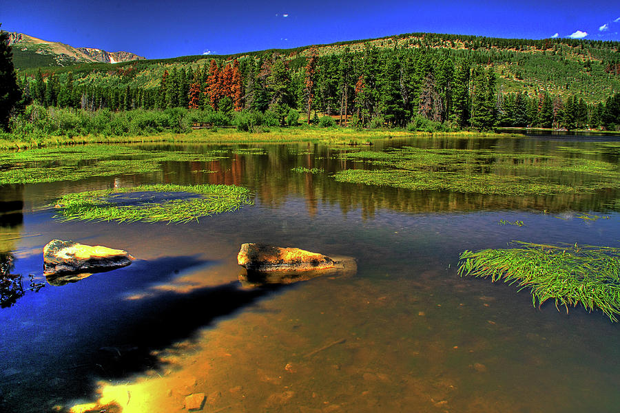 Sprague Lake Photograph By Merlin - Fine Art America