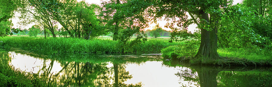 Spreewald summer evening Photograph by Sun Travels