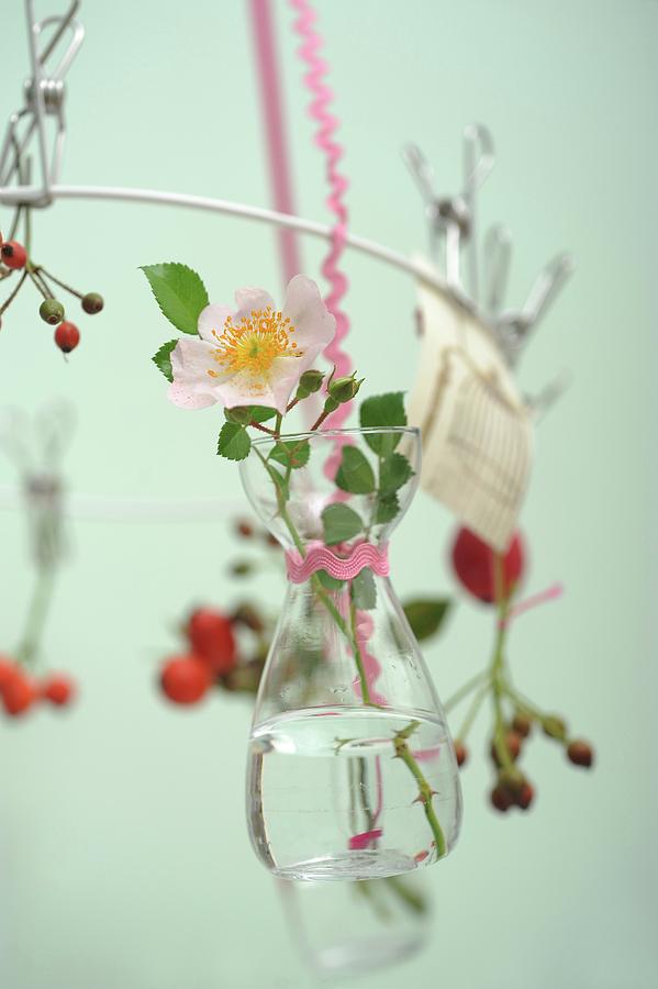 Sprigs Delicate Wild Roses In Tiny Glass Bottles Hanging From White Metal Wreath Photograph by Studio27neun