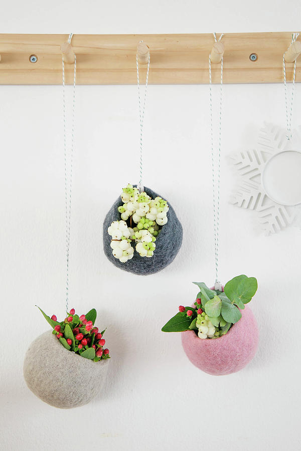 Sprigs Of Berries In Round Felt Cocoons Hung From Peg Board Photograph by Ilaria Chiaratti