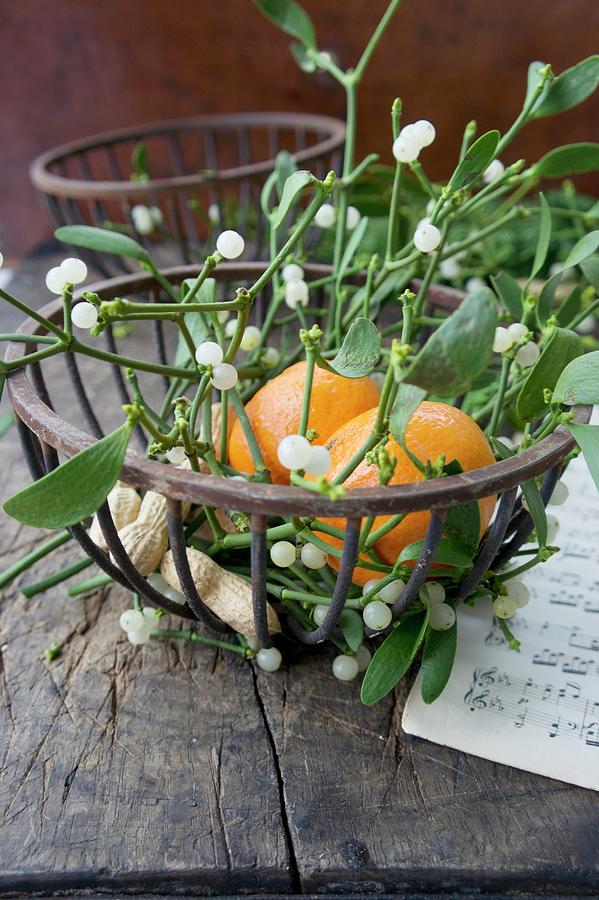 Sprigs Of Mistletoe And Tangerine In Metal Basket festive Photograph by Martina Schindler