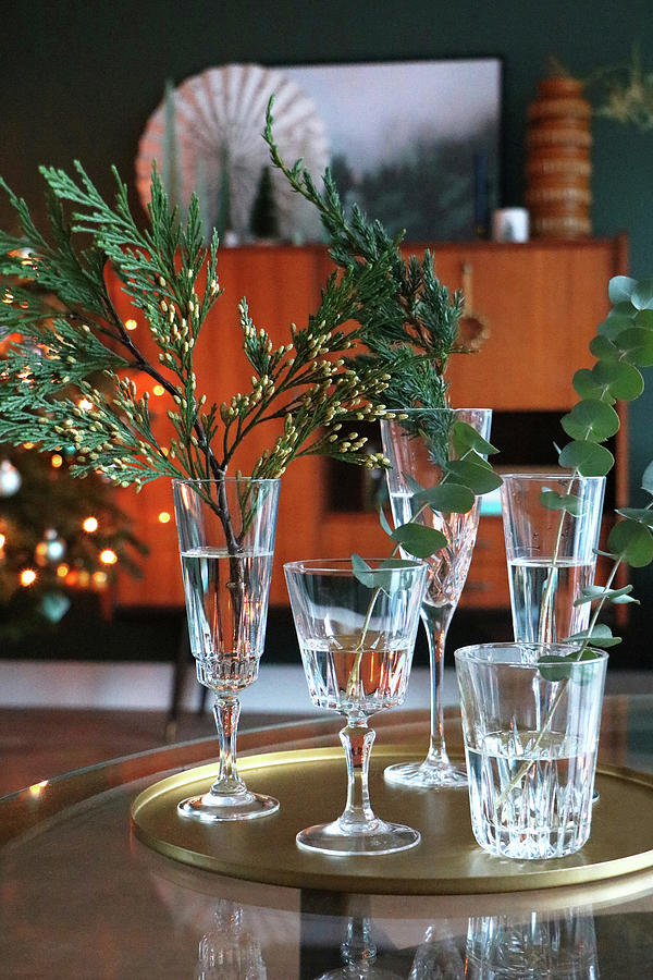 Sprigs Of Thuja, Eucalyptus And Juniper Arranged In Glasses Of Water Photograph by Marij Hessel
