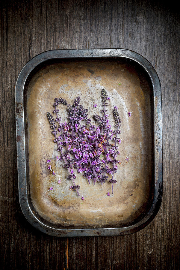 Sprigs Of Zalotti Blossoms In A Rusted Tray Photograph by Nitin Kapoor