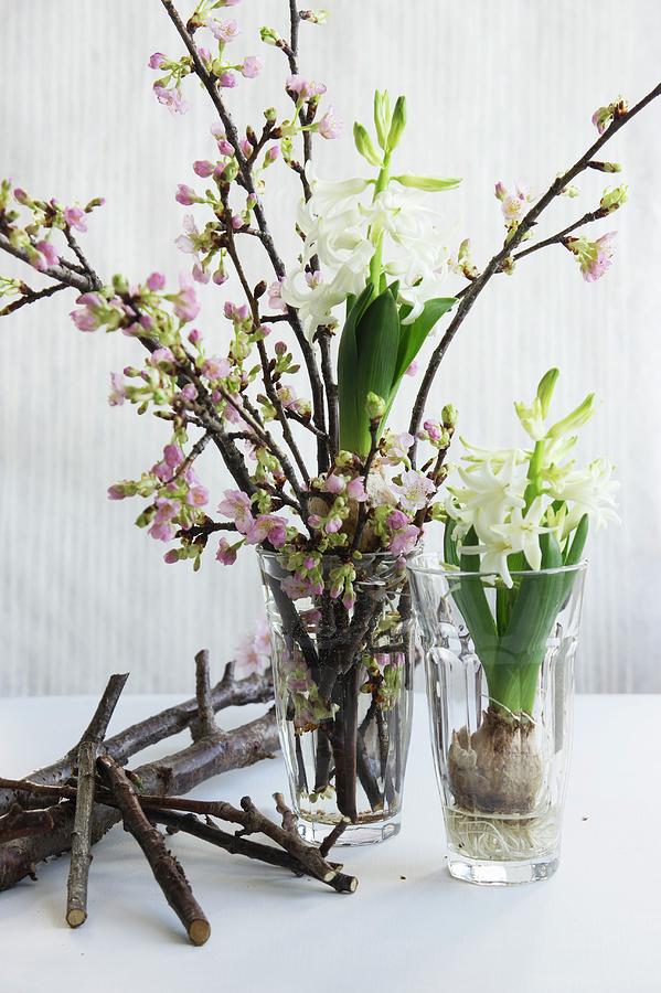 Spring Arrangement Of Blossoming Cherry Twigs & Hyacinths Photograph by Martina Schindler