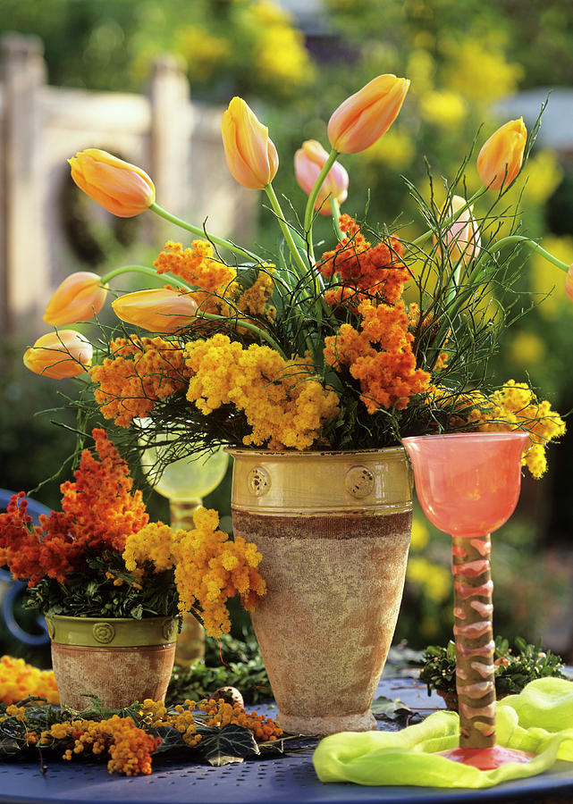 Spring Arrangement Of Mimosa And Tulips Photograph by Friedrich Strauss