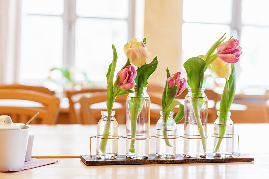 Spring Arrangement Of Tulips In Glass Vases Photograph by Anneliese Kompatscher