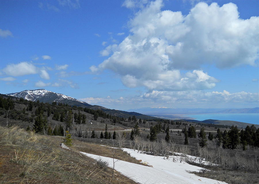 Spring at Bear Lake Photograph by Michele Myers
