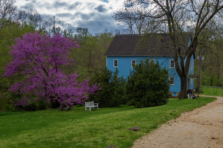 Spring At Historic Walnford  Photograph by Susan Candelario