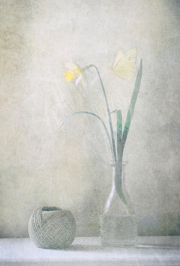Spring At Home Photograph by Delphine Devos