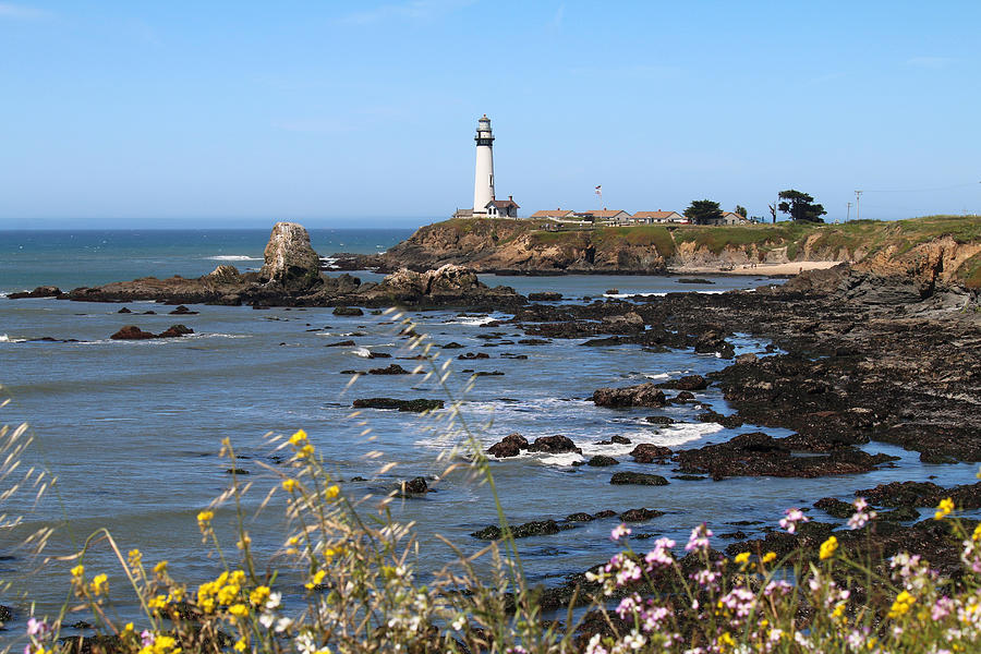 Spring at Pigeon Point Photograph by Art Block Collections
