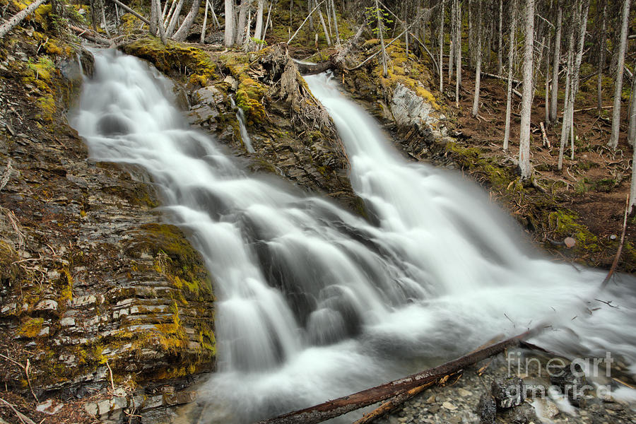 Spring At Sarrail Falls Photograph by Adam Jewell