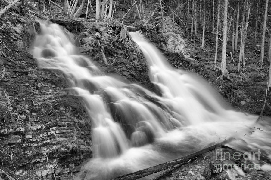 Spring At Sarrail Falls Black And White Photograph by Adam Jewell