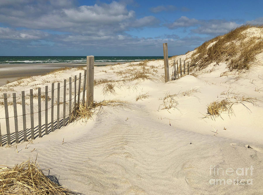 Spring at the Beach on Cape Cod Photograph by Michelle Constantine