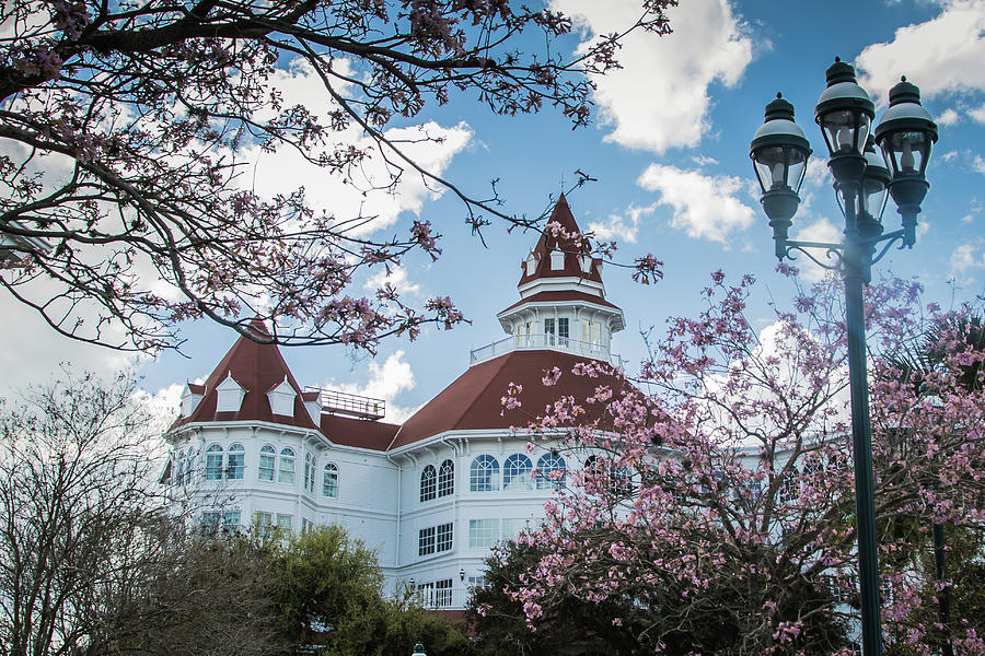 Spring at The Grand Floridian Photograph by Sara Frank