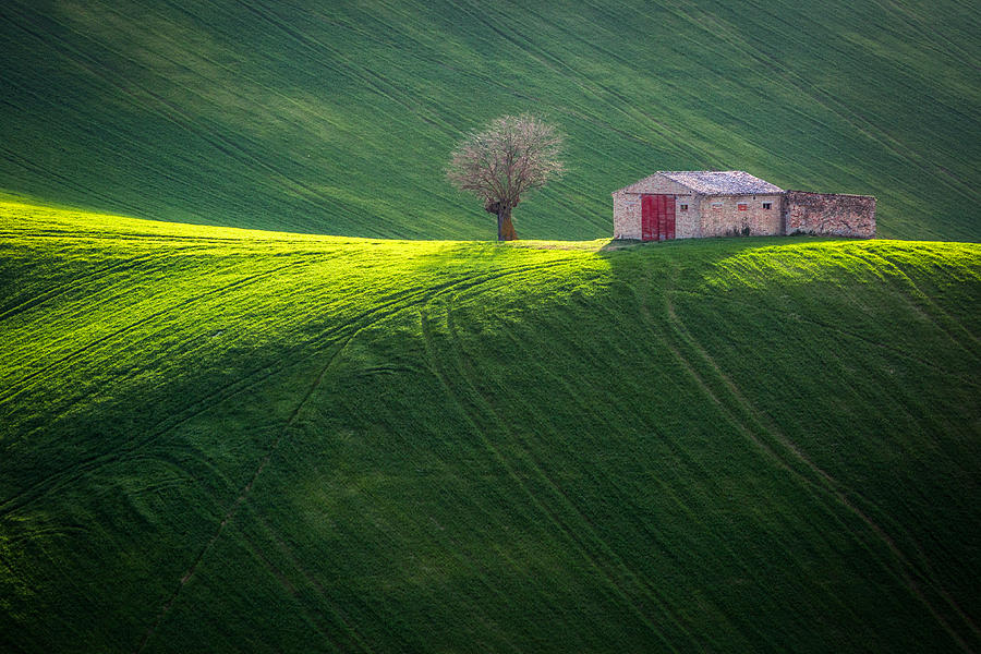 Spring At The Old Farmhouse Photograph by Sergio Barboni