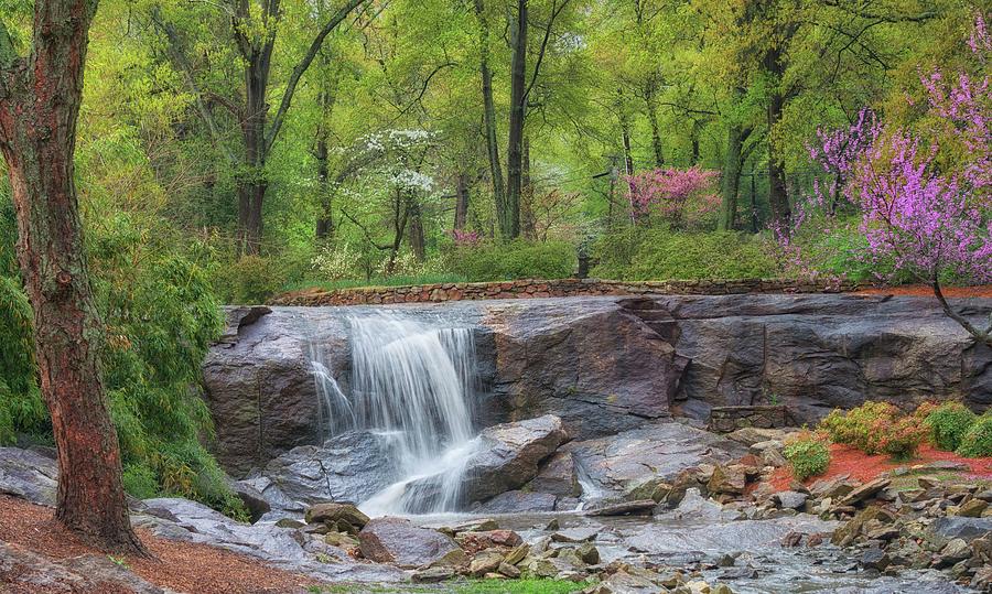 Waterfall Photograph - Spring at the Rock Quarry Garden by Blaine Owens