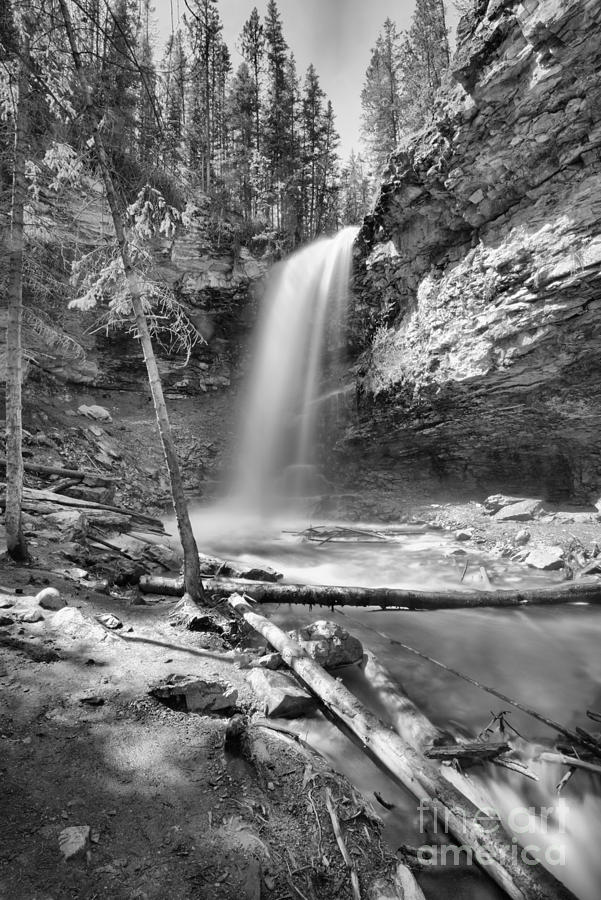 Spring At Troll Falls Black And White Photograph by Adam Jewell