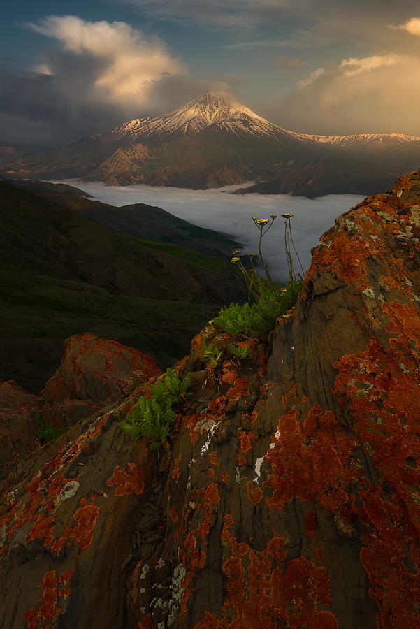 Spring Atmosphere In Mount Damavand Photograph by Majid Behzad