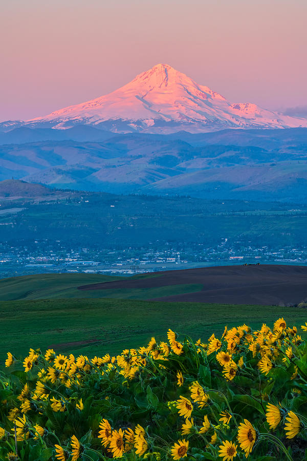 Oregon Photograph - Spring Awakening by John Fan