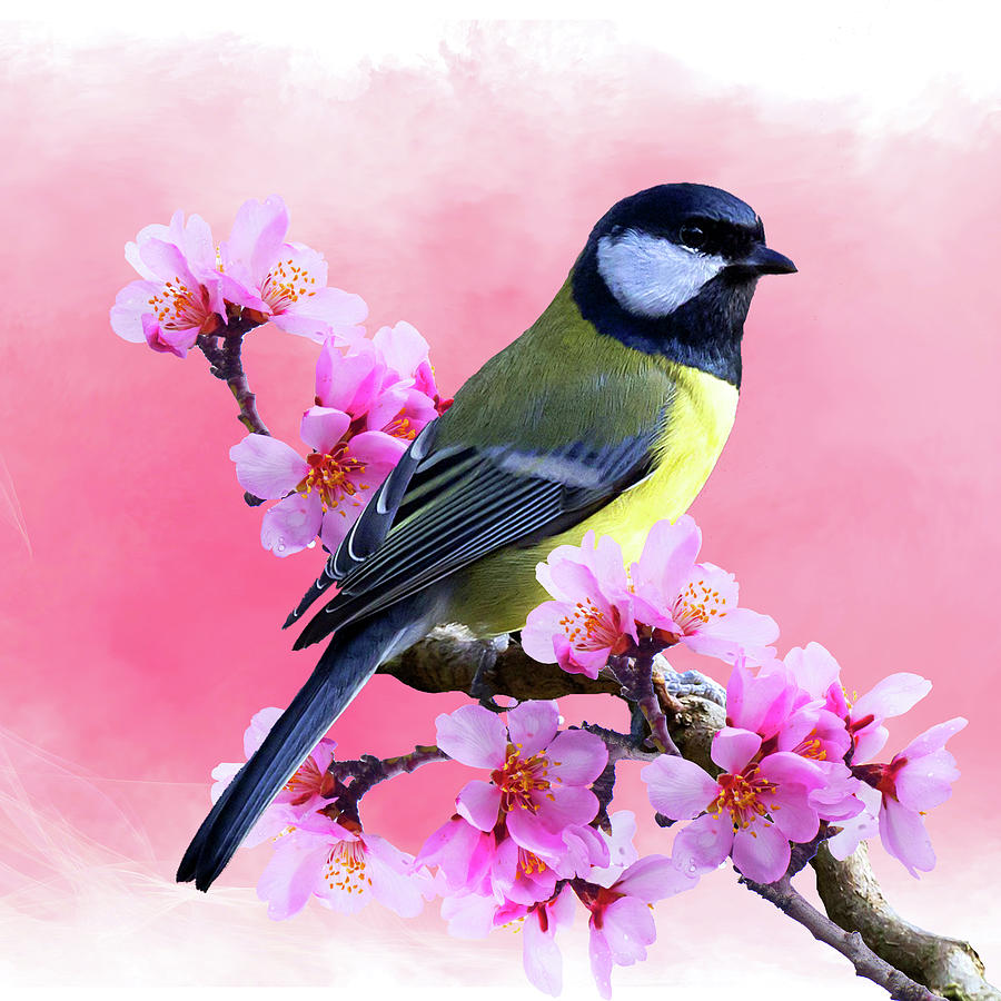 Spring Mixed Media - Spring Bird 3a by Ata Alishahi