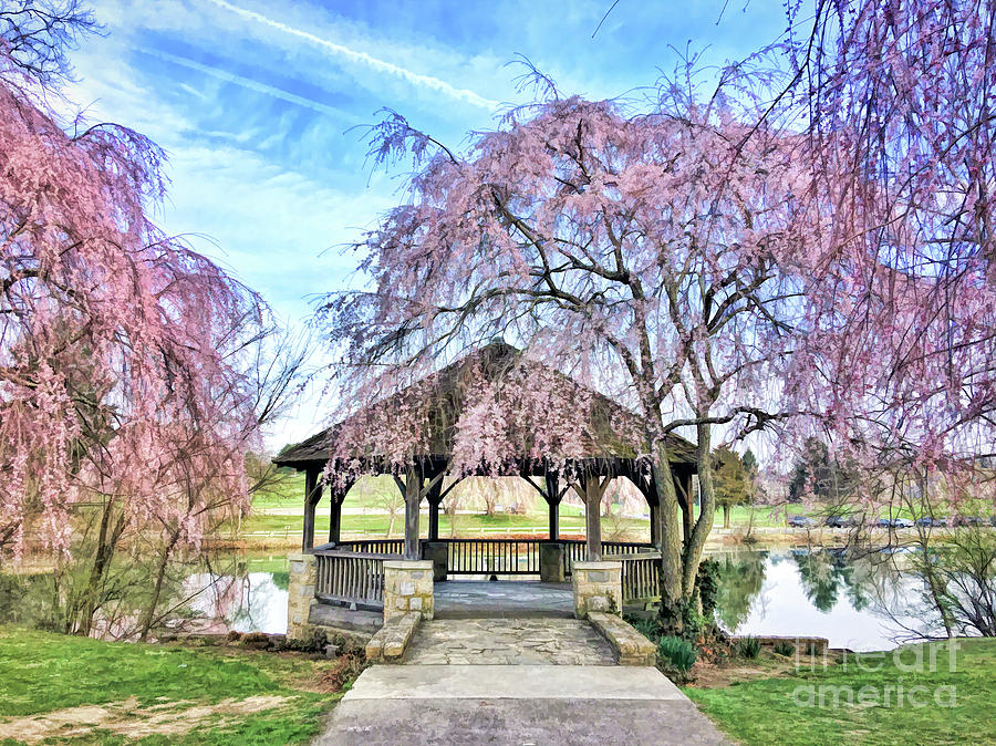 Spring Blooms at the Duck Pond Photograph by Kerri Farley