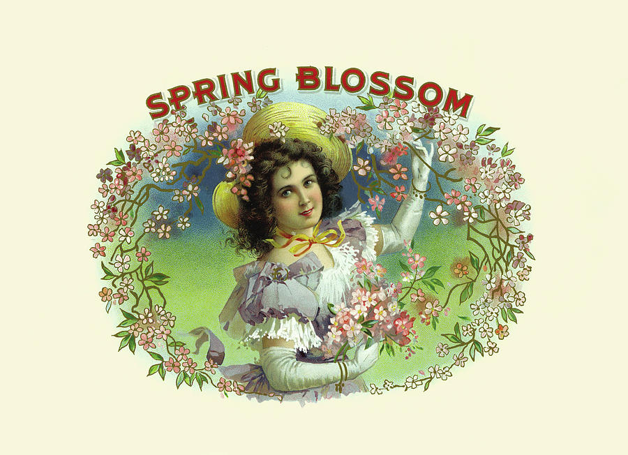 Spring Blossom Painting by Witsch & Schmitt Lihto.