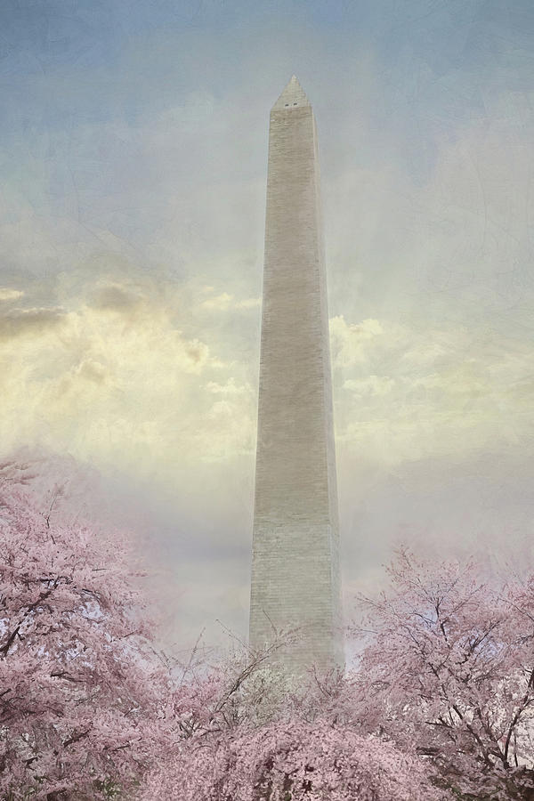 Spring Mixed Media - Spring Blossoms at the Washington Monument by Lori Deiter