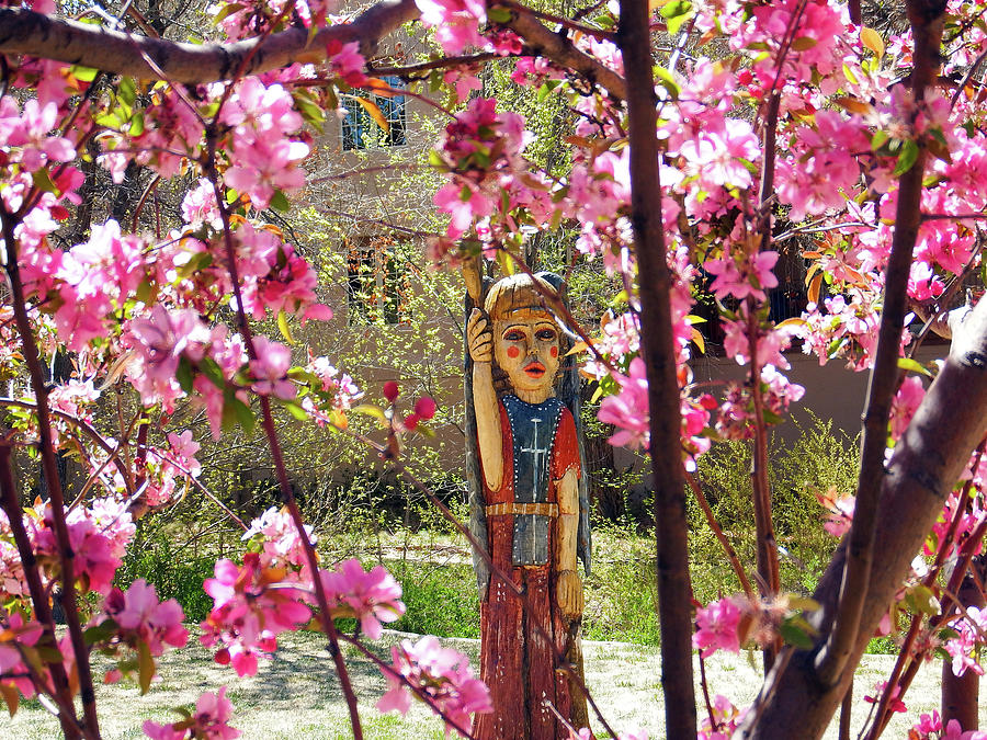 Spring Blossoms, Santa Fe Photograph by Kurt Van Wagner