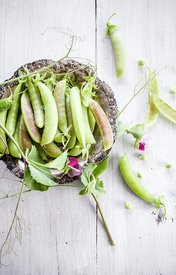 Spring Blush Green Peas Picked From The Garden Photograph by Kati Finell