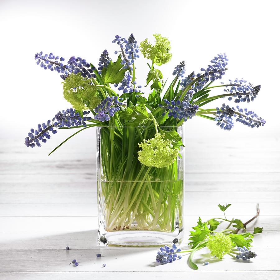 Spring Bouquet In Glass Vase Photograph by Brigitte Wegner