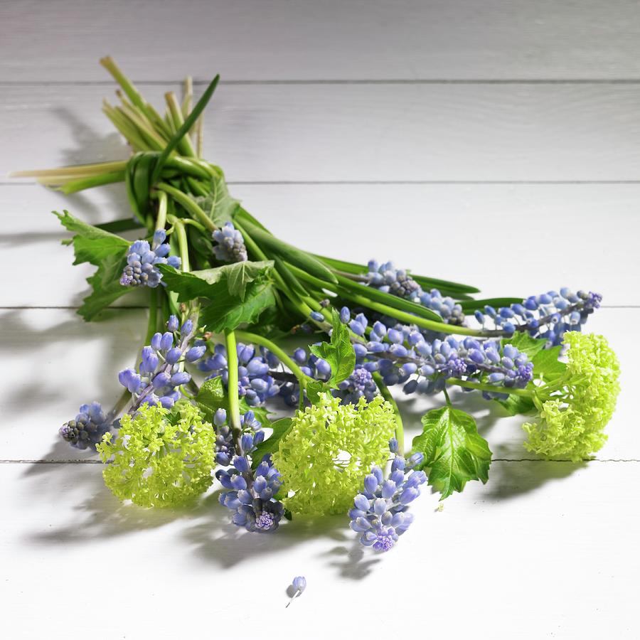 Spring Photograph - Spring Bouquet Of Grape Hyacinth And Viburnum by Brigitte Wegner