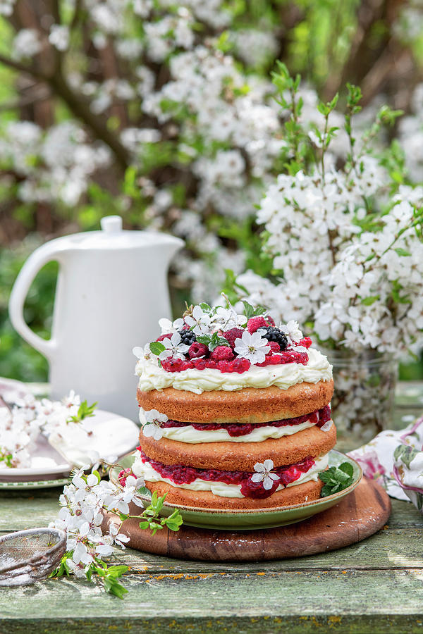 Spring Cake With Raspberries And Cream Cheese Photograph by Irina Meliukh