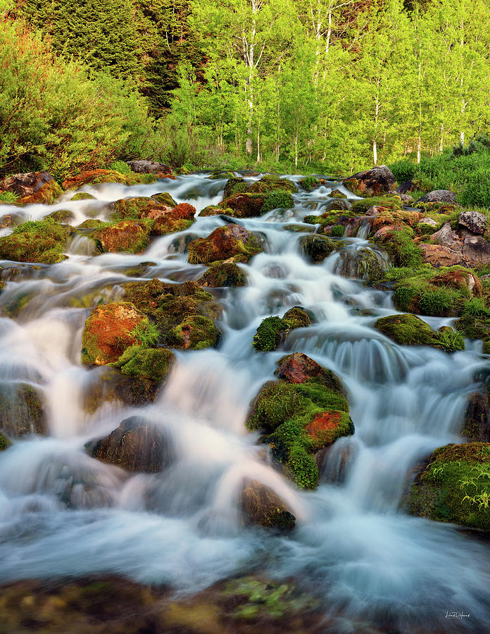 Nature Photograph - Spring Cascade by Leland D Howard