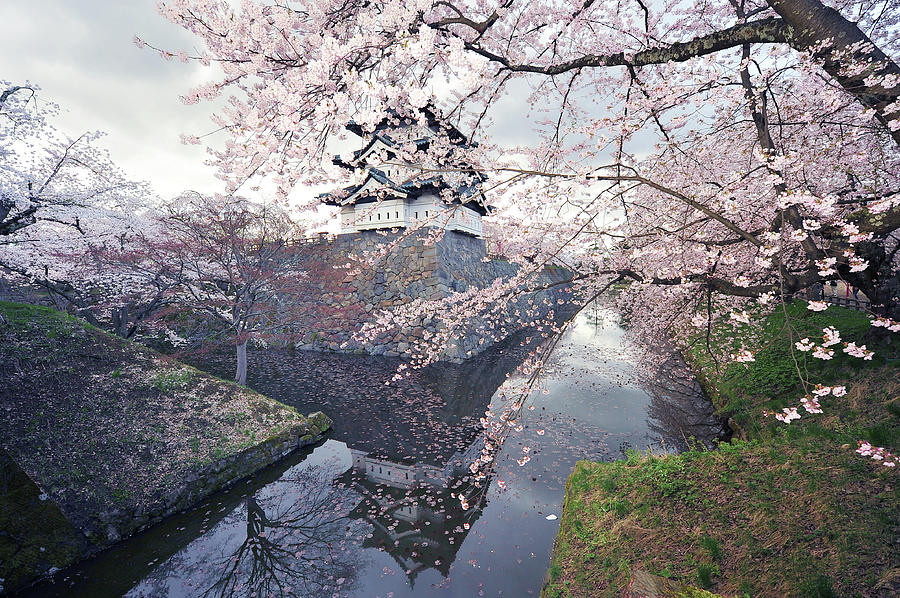 Spring Castle Photograph by Photo By Glenn Waters In Japan