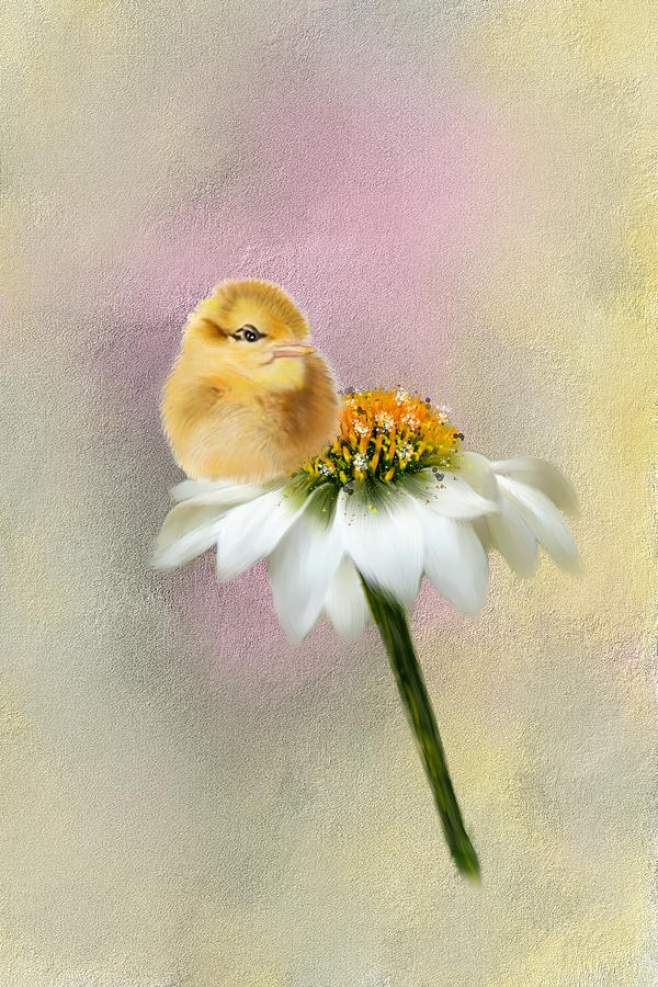 Spring Chick Mixed Media by Mary Timman