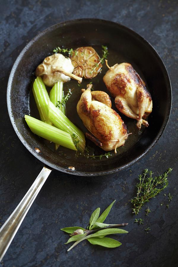 Spring Chickens With Celery And Garlic Photograph by Charlotte Tolhurst