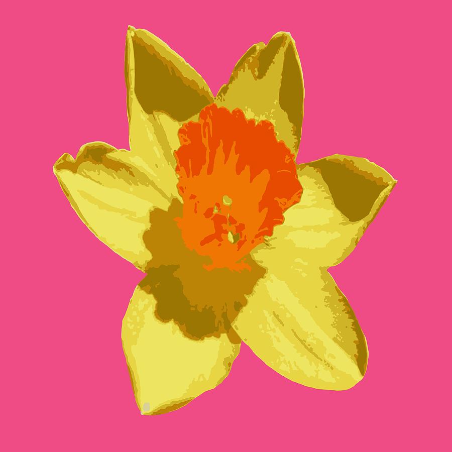 Spring Daffodil Isolated On Hot Pink Digital Art by Taiche Acrylic Art